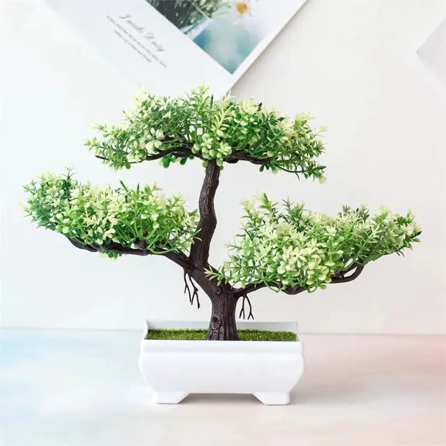 Bonsai for Indoor Decoration