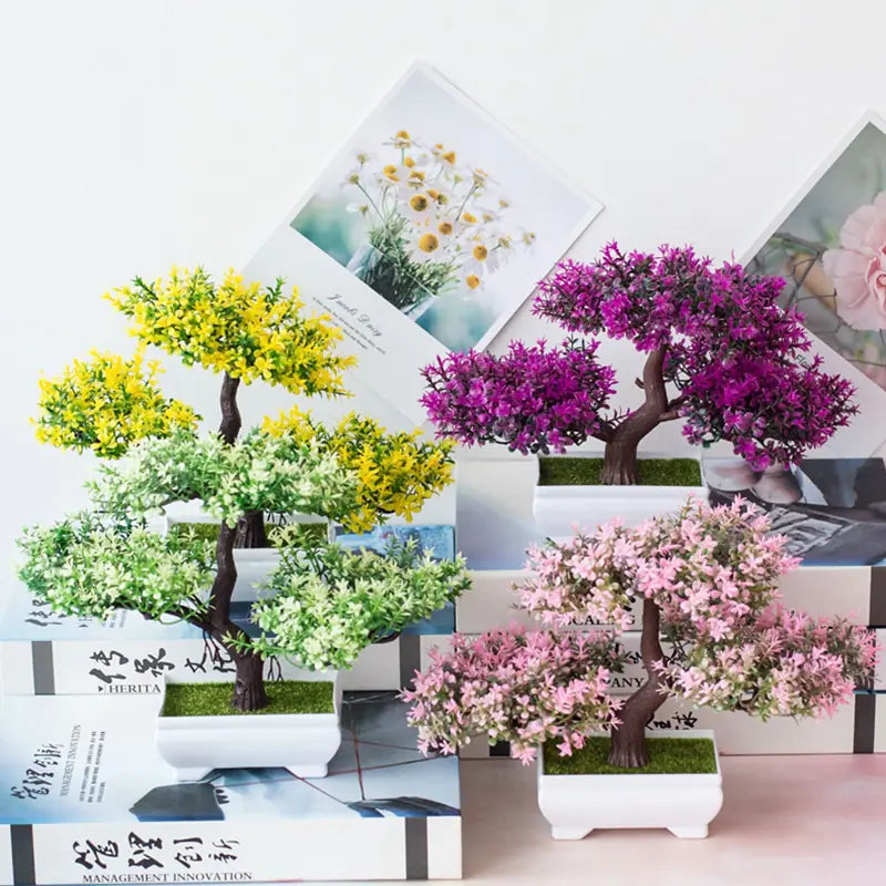 Bonsai for Indoor Decoration