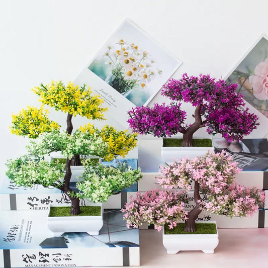 Bonsai for Indoor Decoration
