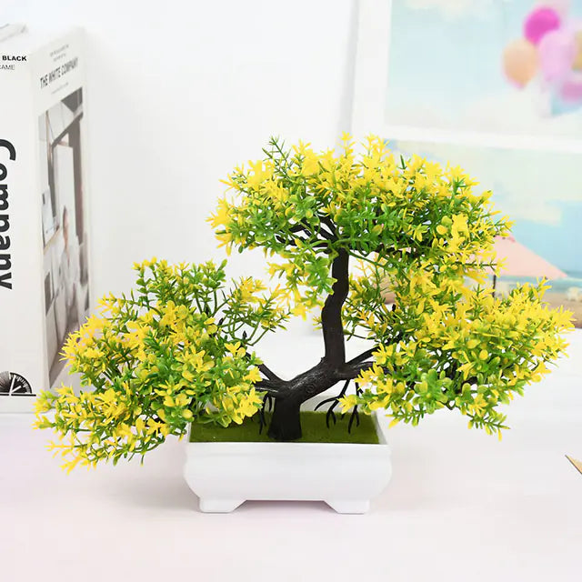 Bonsai for Indoor Decoration