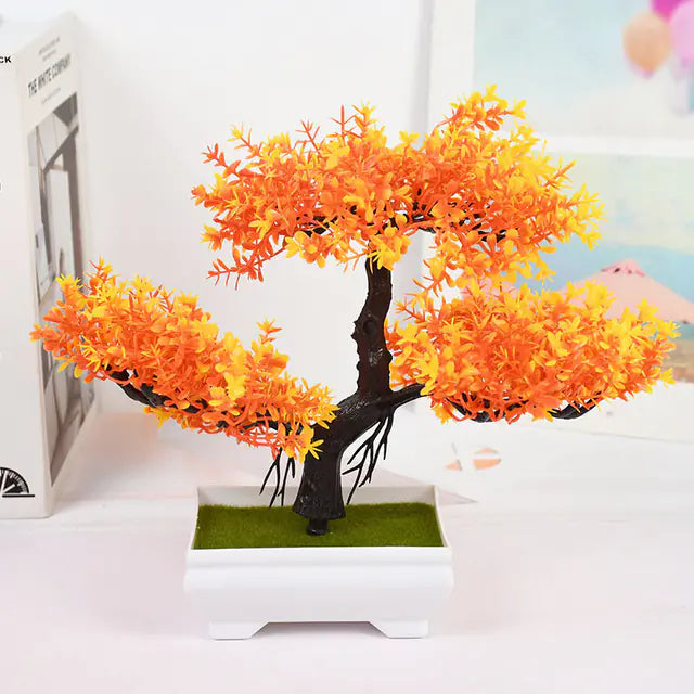 Bonsai for Indoor Decoration