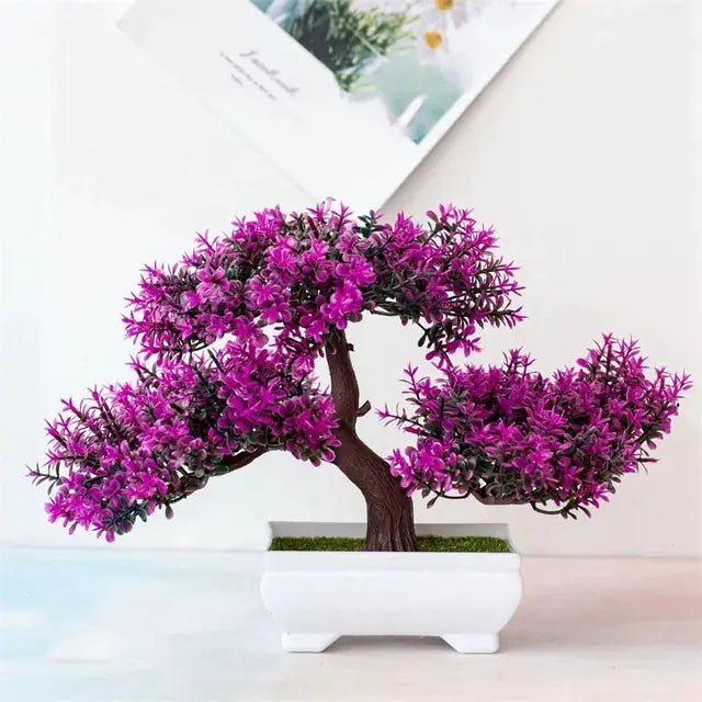 Bonsai for Indoor Decoration