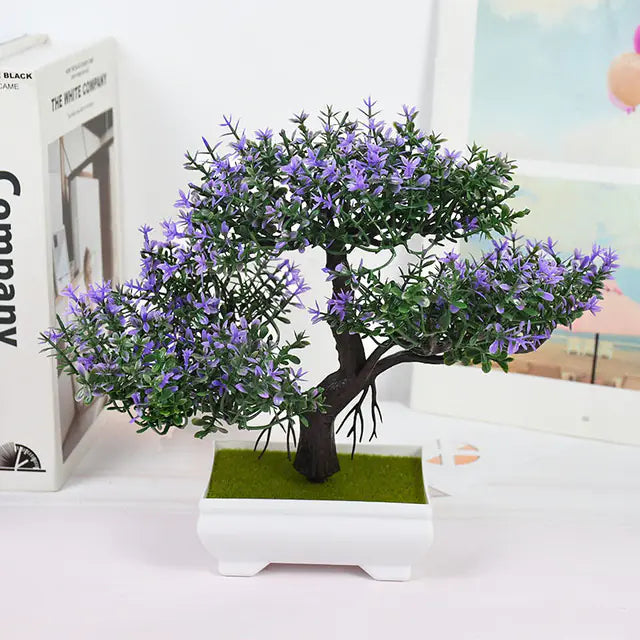 Bonsai for Indoor Decoration