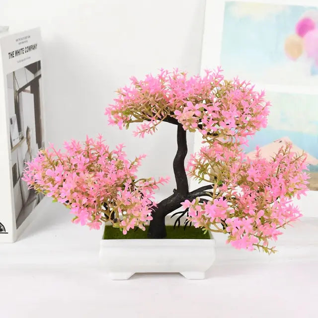 Bonsai for Indoor Decoration