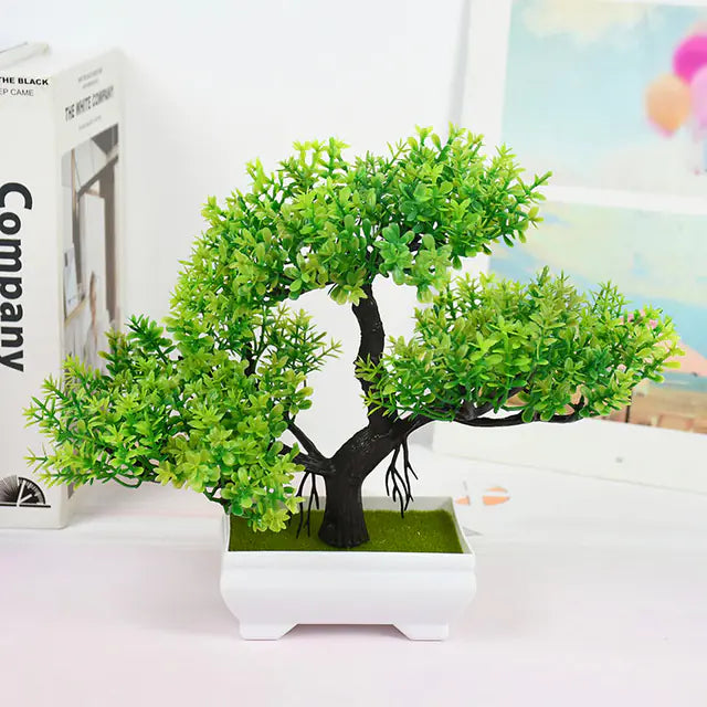 Bonsai for Indoor Decoration