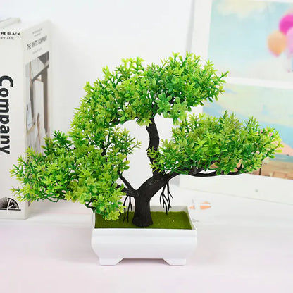 Bonsai for Indoor Decoration